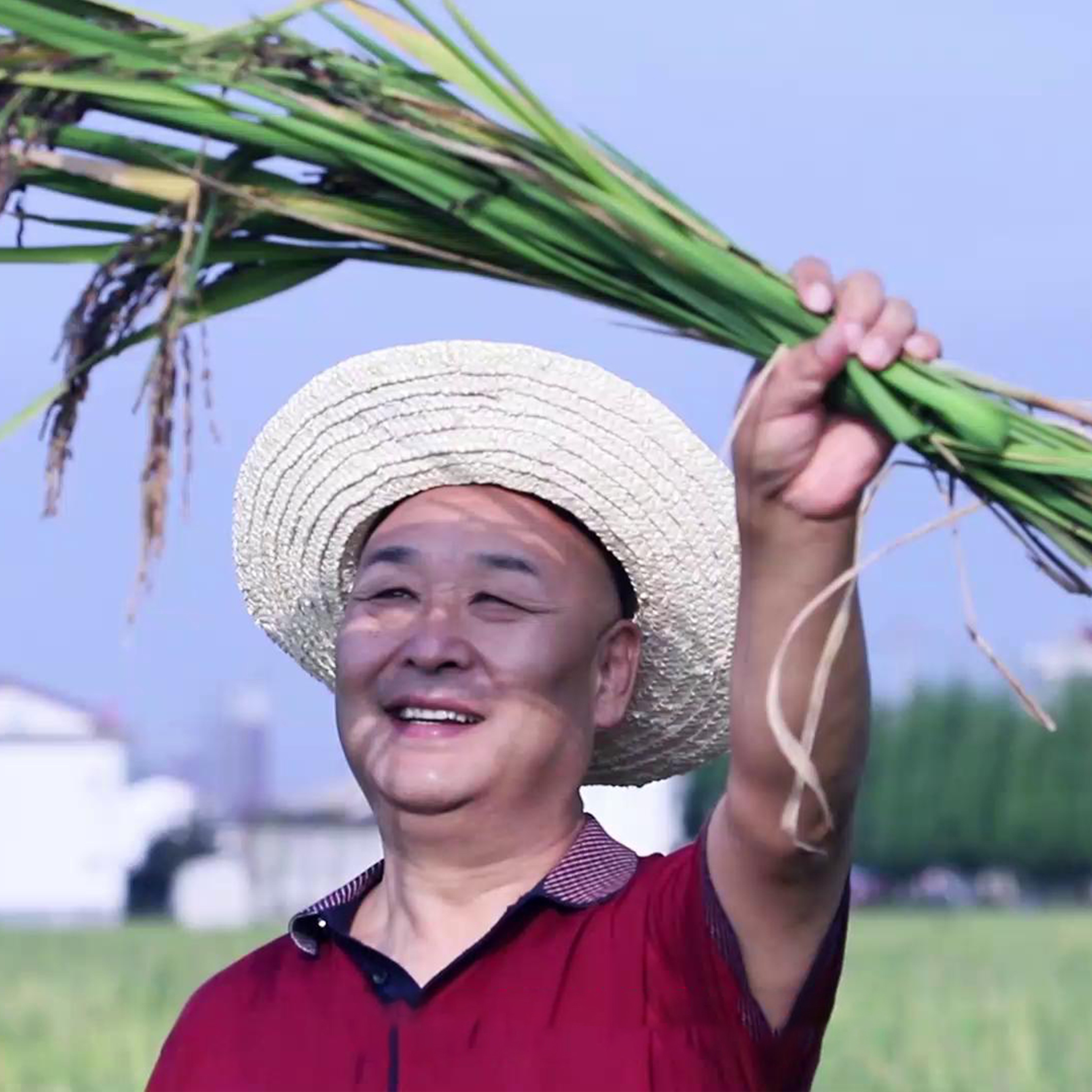 洋縣雙亞周大黑-生產(chǎn)加工